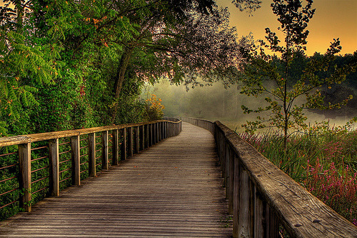 Nature 3