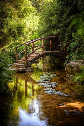 Nature 4