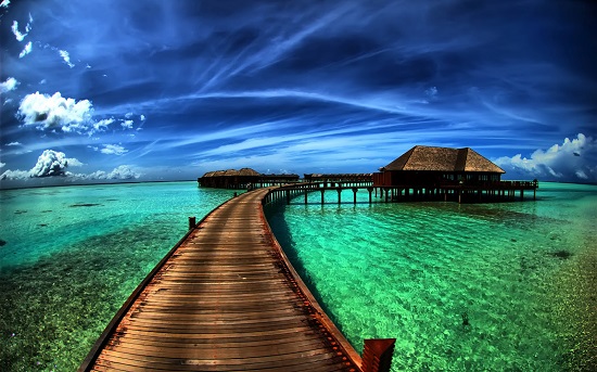 Nature 5