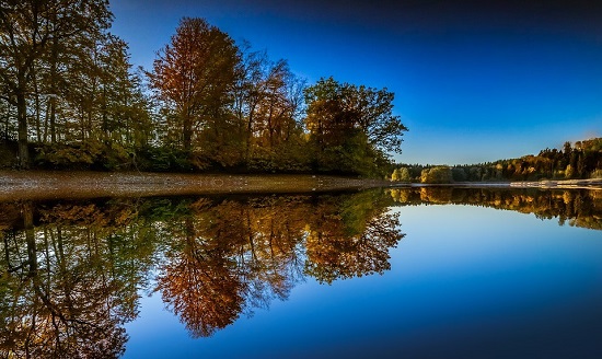 Nature 6