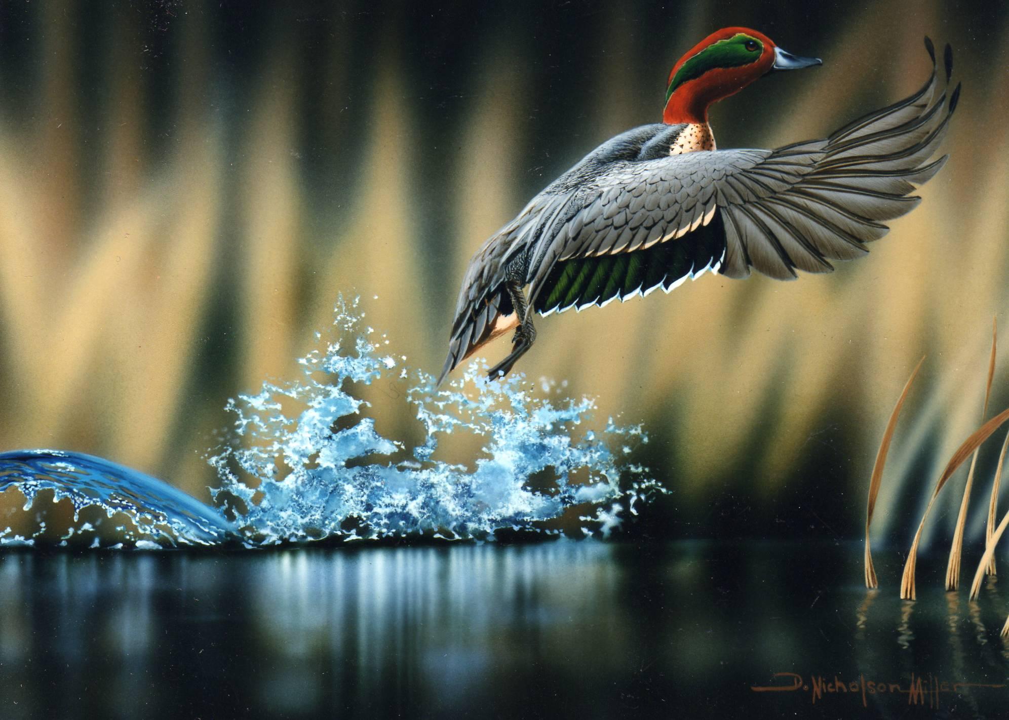 Wildlife